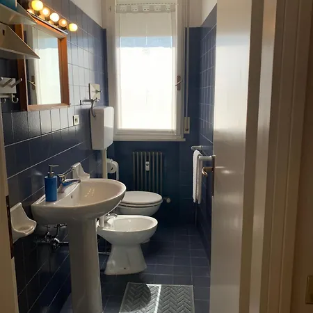 Gabbiano Baia Flaminia