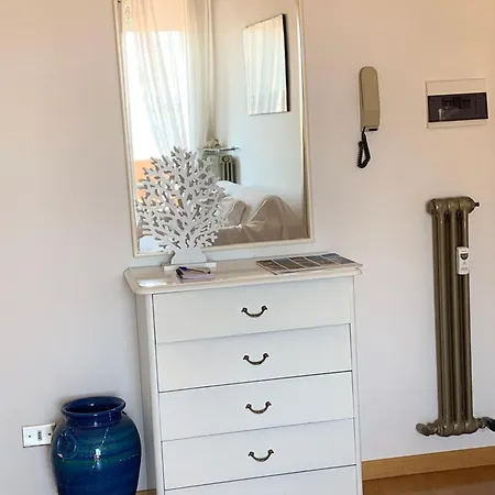 Gabbiano Baia Flaminia